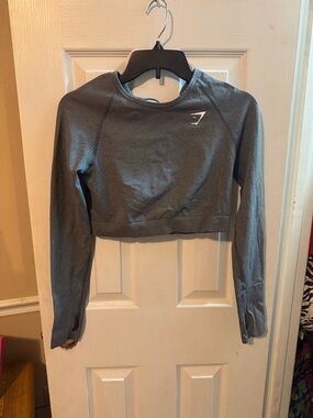 Gymshark Seamless Long Sleeve Top in Charcoal Gray